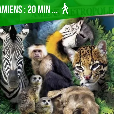 Duplex Safari Jusqu'a 4 Personnes, Spa, Cinema Et Lit Sous Les Arbres, Day Use, 10 Min Centre